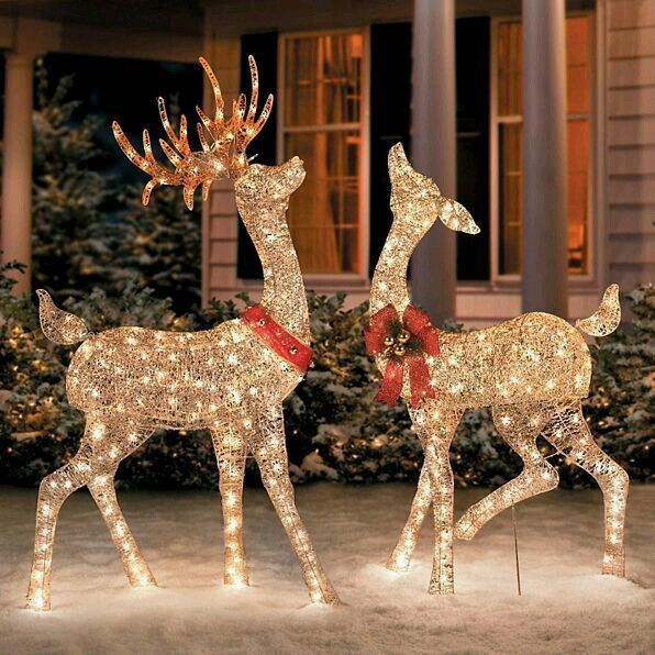 Christmas Deer Decor
 Gold light up Christmas reindeer