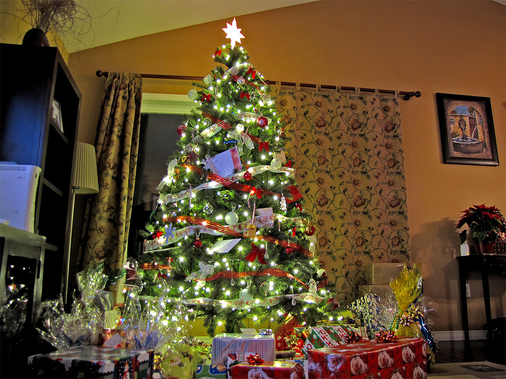Christmas Tree With Gifts
 Toronto City Life The repellent scent of man and other