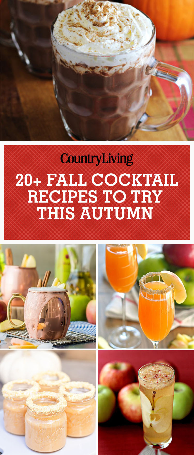 Fall Drink Ideas
 25 Best Fall Cocktails Drink Recipes Perfect for Autumn