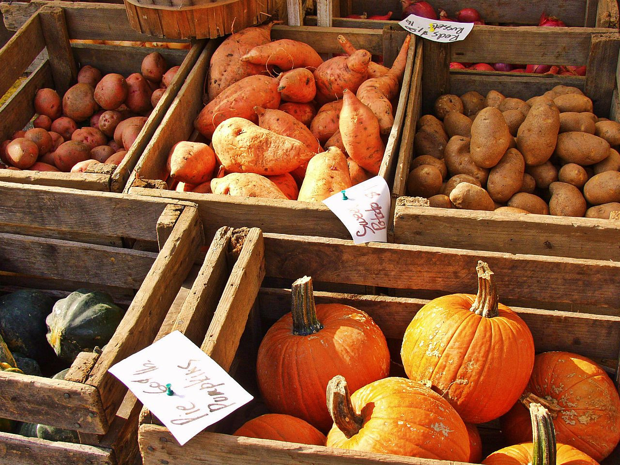 Fall Food
 Fall Foods That Promote Good Moods
