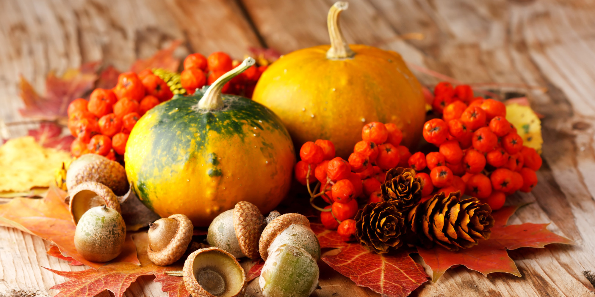 Fall Food
 The Best Fall Food A HuffPost Deathmatch VOTE