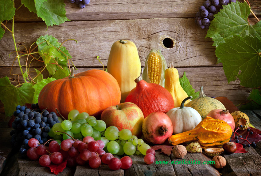 Fall Food
 Detailed Guide to The Health Benefits of Fall Food