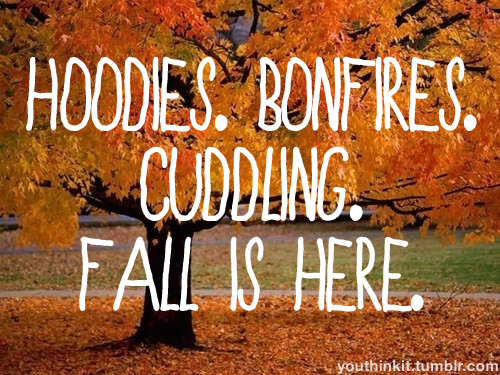 Fall Quotes And Sayings Funny
 Funny Fall Quotes Autumn QuotesGram