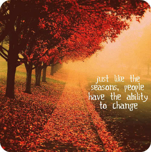 Fall Quotes And Sayings Funny
 Autumn Sayings Funny Quotes QuotesGram