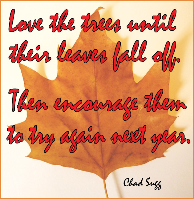 Fall Quotes And Sayings Funny
 Fall Funny Quotes QuotesGram