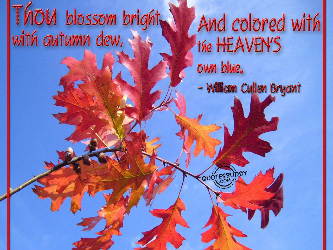 Fall Quotes And Sayings Funny
 Funny Autumn Quotes