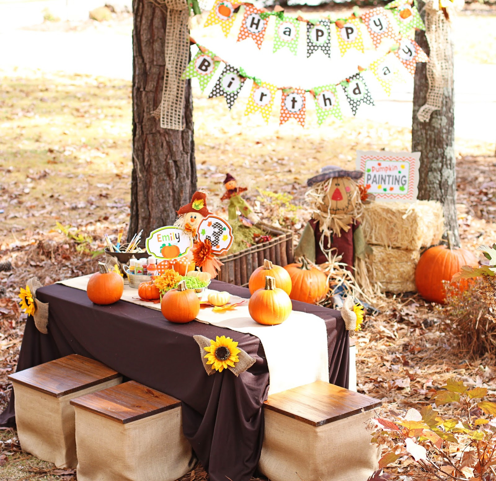 Fall Theme Ideas
 Amanda s Parties To Go Little Pumpkin Party Set
