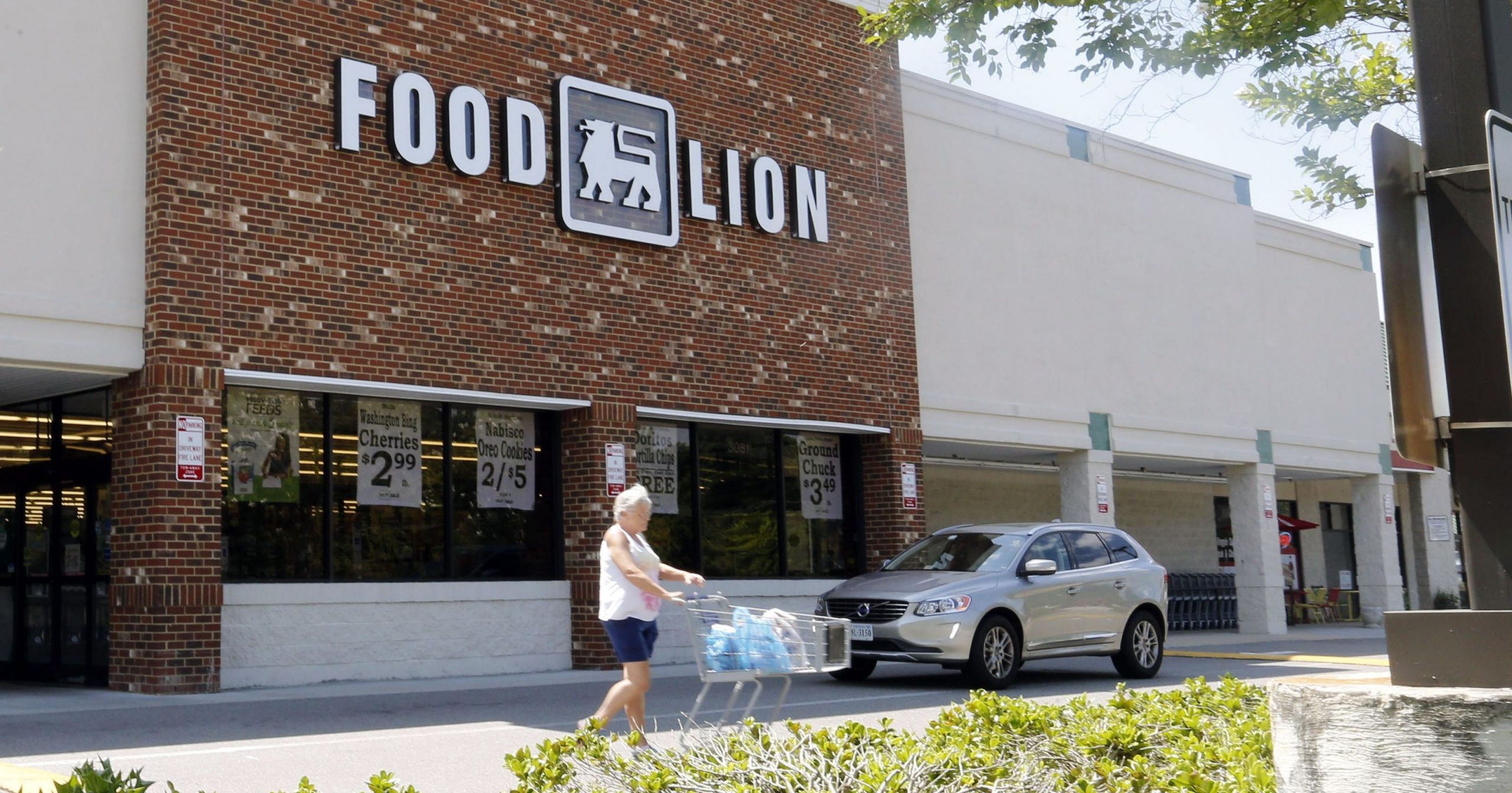 Food Lion Open Thanksgiving
 Food Lion Piggly Wiggly biscuits recalled for listeria