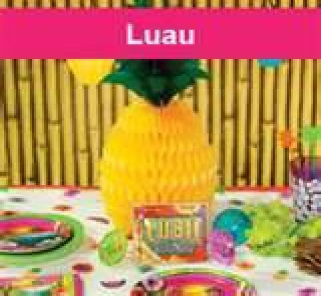 Fun Summer Party Themes
 Adult Luau Party Ideas – Fun Summer Party Theme Ideas