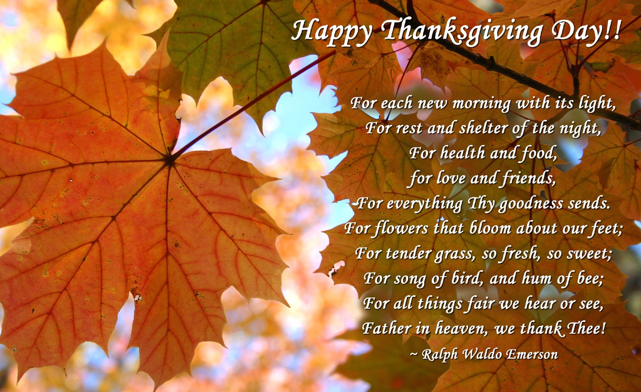 Happy Thanksgiving Greetings Quotes
 Free Happy Thanksgiving Day Quotes Wishes Sayings Prayers