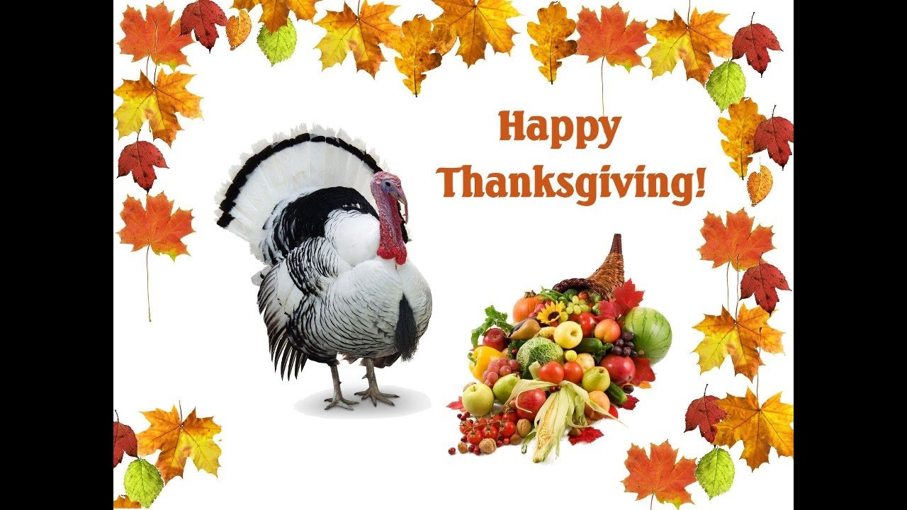 Happy Thanksgiving Greetings Quotes
 Happy Thanksgiving Wishes Greetings Sms Sayings Quotes E