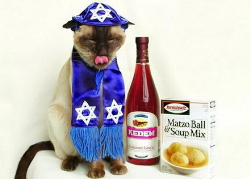 Kosher For Passover Dog Food
 Easter and Passover 5 Holiday Pet Tips Dog Cat and