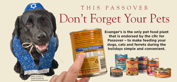 Kosher For Passover Dog Food
 Kosher Pet Food
