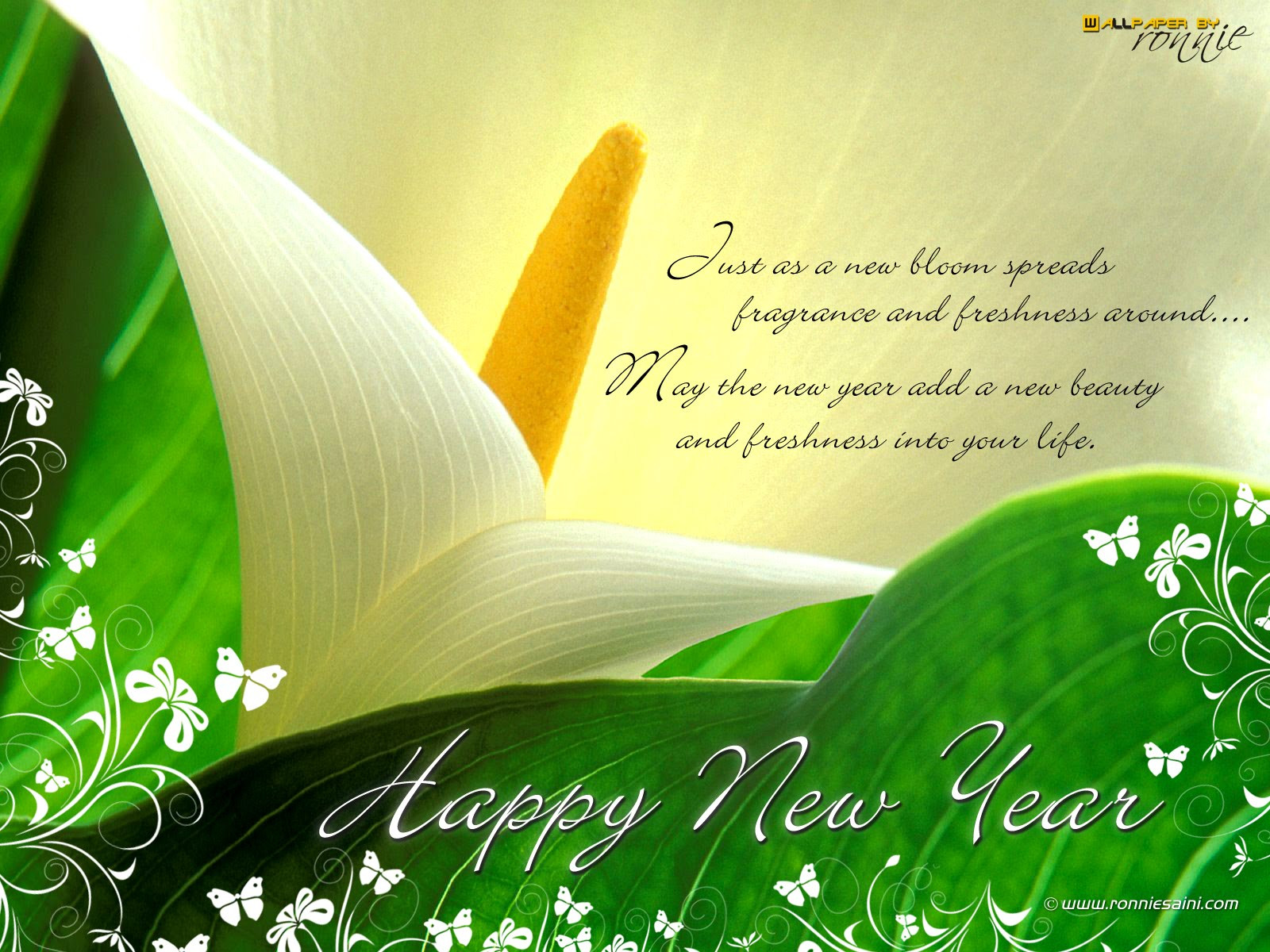 New Year Wishes Quotes
 Best New Year Greetings Quotes QuotesGram
