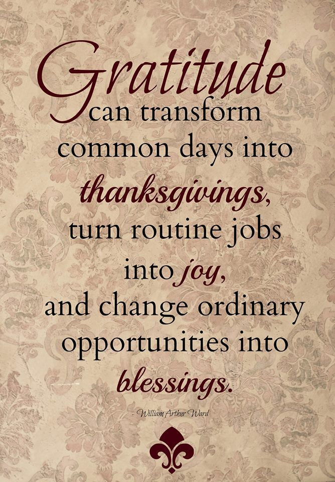Pinterest Thanksgiving Quotes
 Gratitude transforms