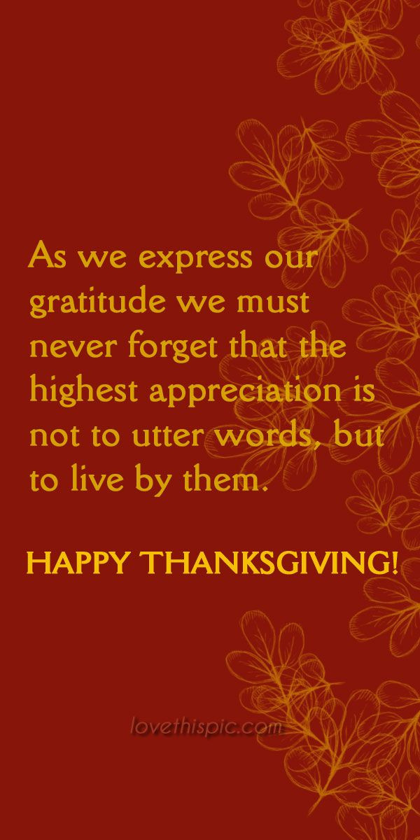 Pinterest Thanksgiving Quotes
 Gratitude happiness thanks gratitude thanksgiving