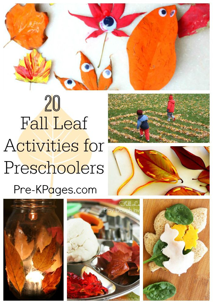 Pre K Fall Crafts
 117 best Fall Activities