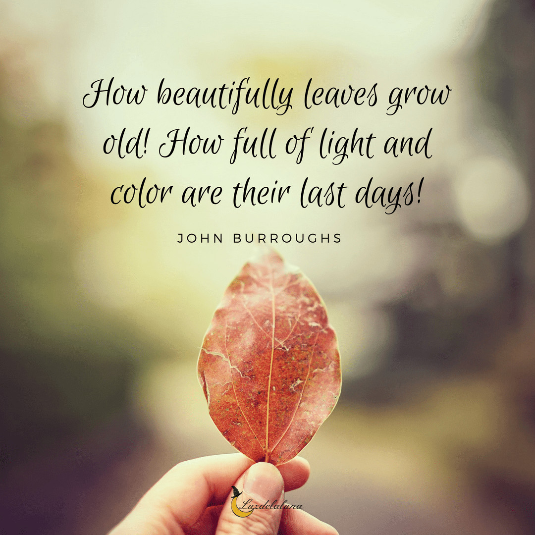 Quotes About Fall And Love
 20 Beautiful Autumn Quotes That Will Make You Fall In Love