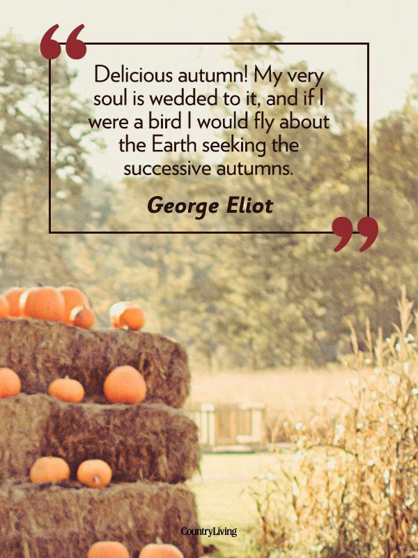 Quotes About Fall And Love
 All Things Audry "Fall" in love with Autumn Ten Quotes