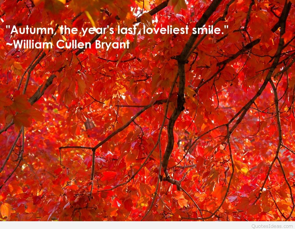 Quotes About Fall And Love
 love Autumn quotes