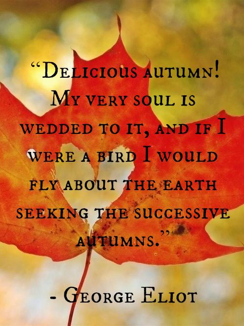 Quotes About Fall And Love
 Northwoods Scrapbook Happy Homemaker Monday