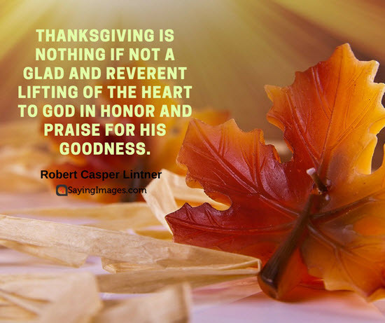Short Funny Thanksgiving Quotes
 30 Inspiring Happy Thanksgiving Quotes For Family And
