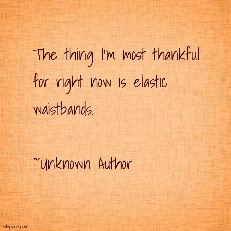 Short Funny Thanksgiving Quotes
 Thanksgiving Quotes Funny Humorous Silly and Thankful