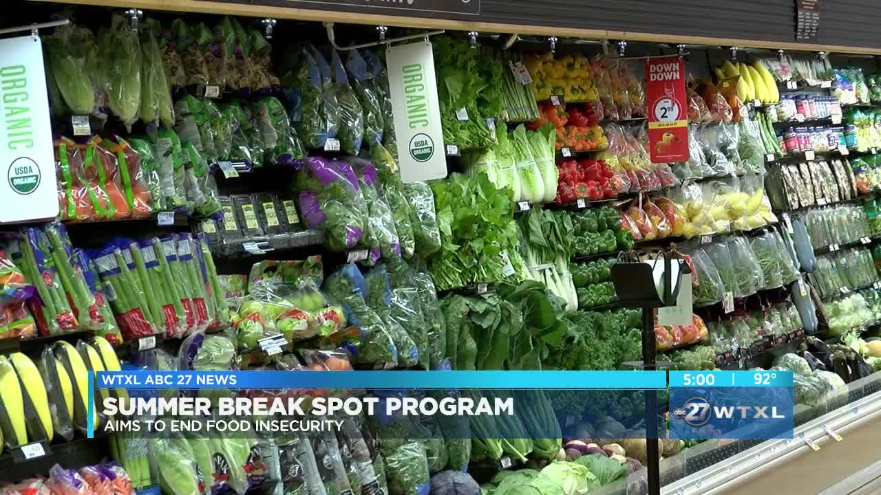 Summer Food Florida
 Summer Break Spot Program aims to end food insecurity in