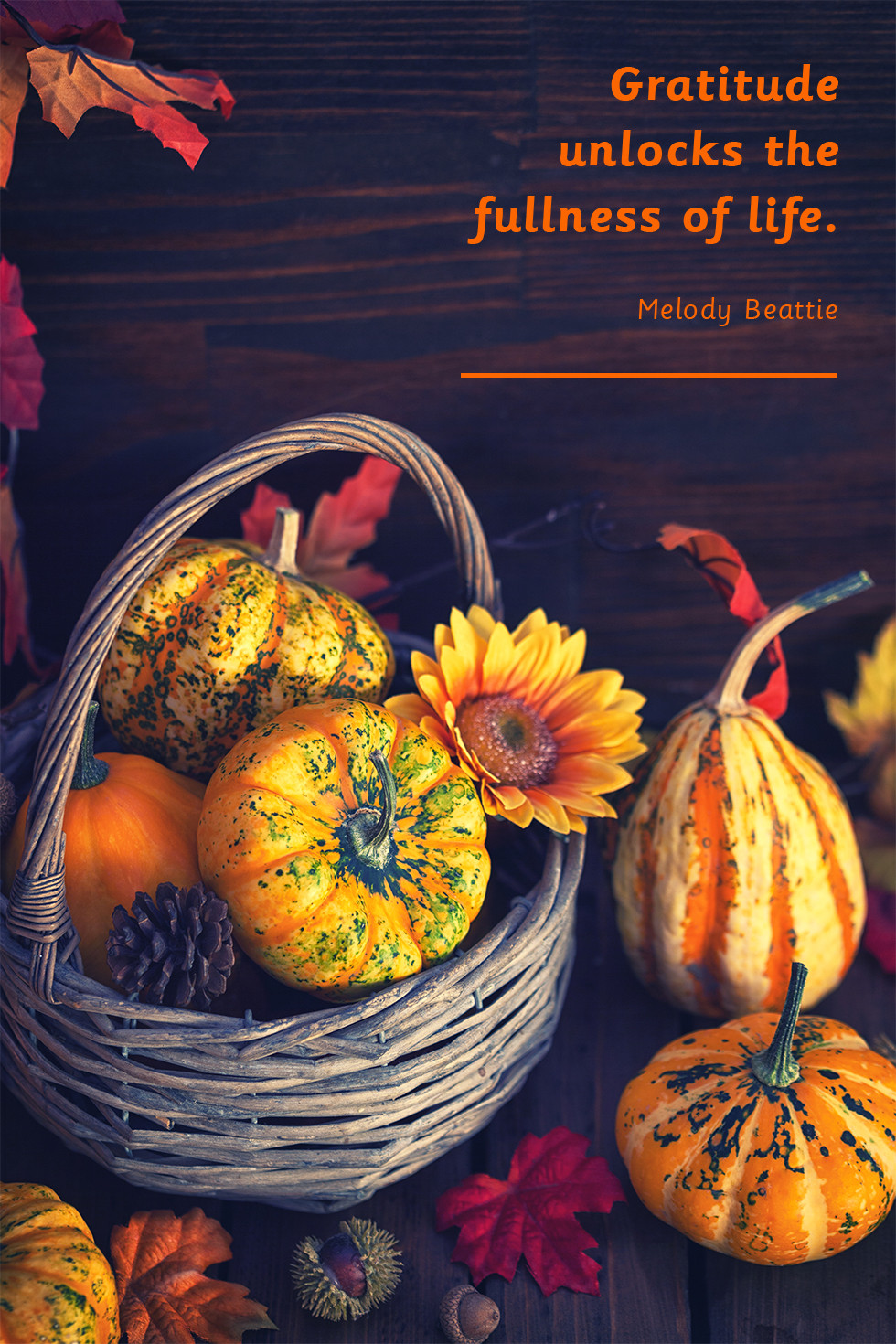 Thanksgiving Quotes
 25 Best Thanksgiving Day Quotes Happy Thanksgiving Toast