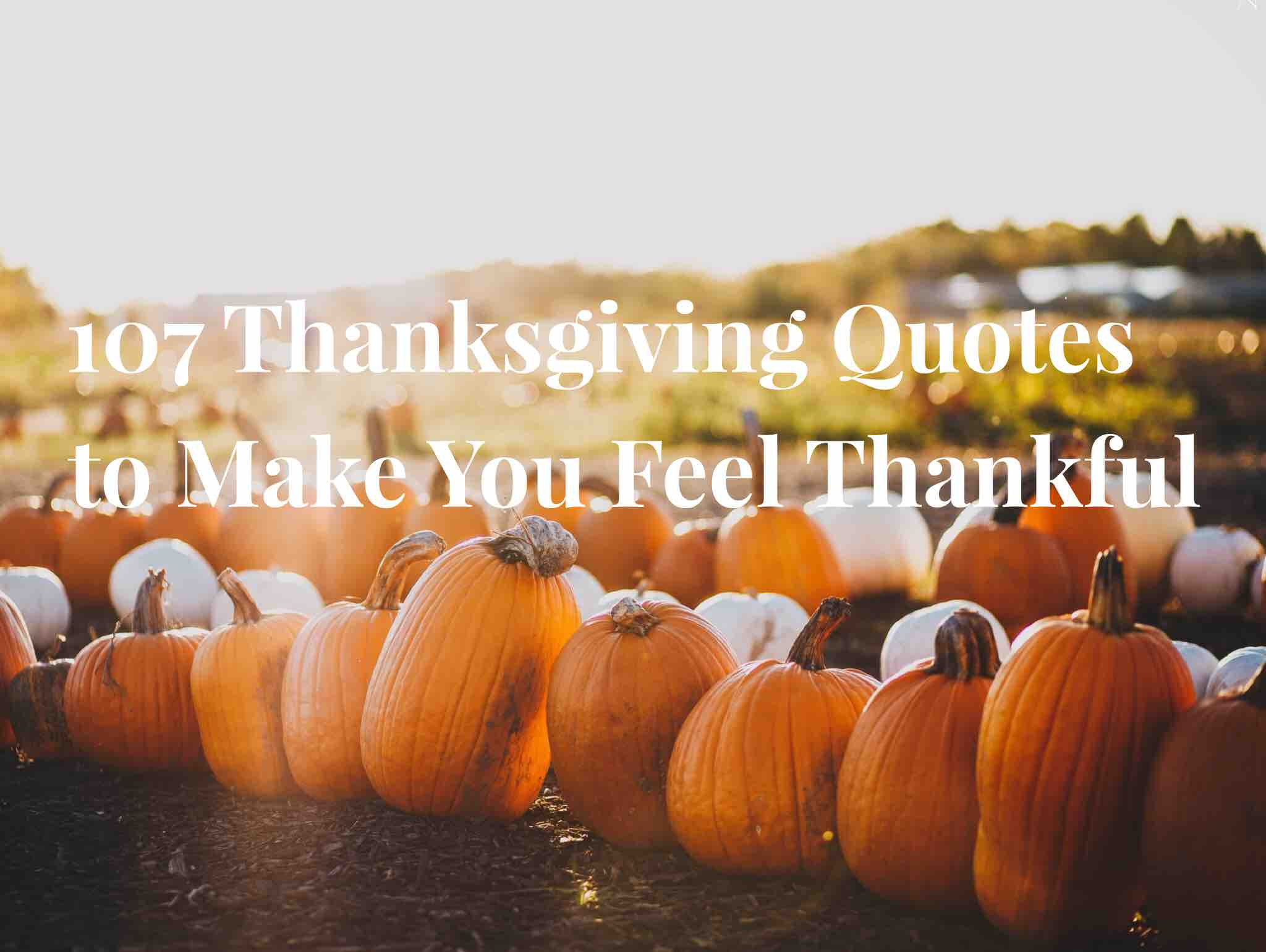 Thanksgiving Quotes
 107 Thanksgiving Quotes to Make You Feel Thankful