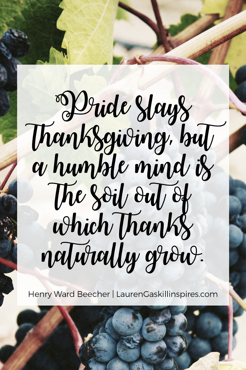 Thanksgiving Week Quotes
 9 Inspirational Quotes About Thanksgiving