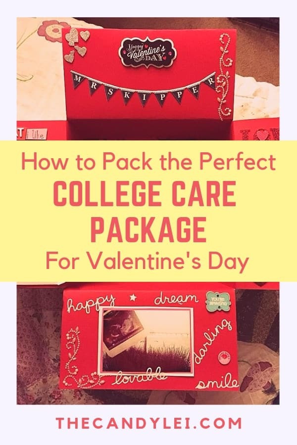 Valentines Day Care Package Ideas
 Delightful Valentine s Day Care Package Ideas for College