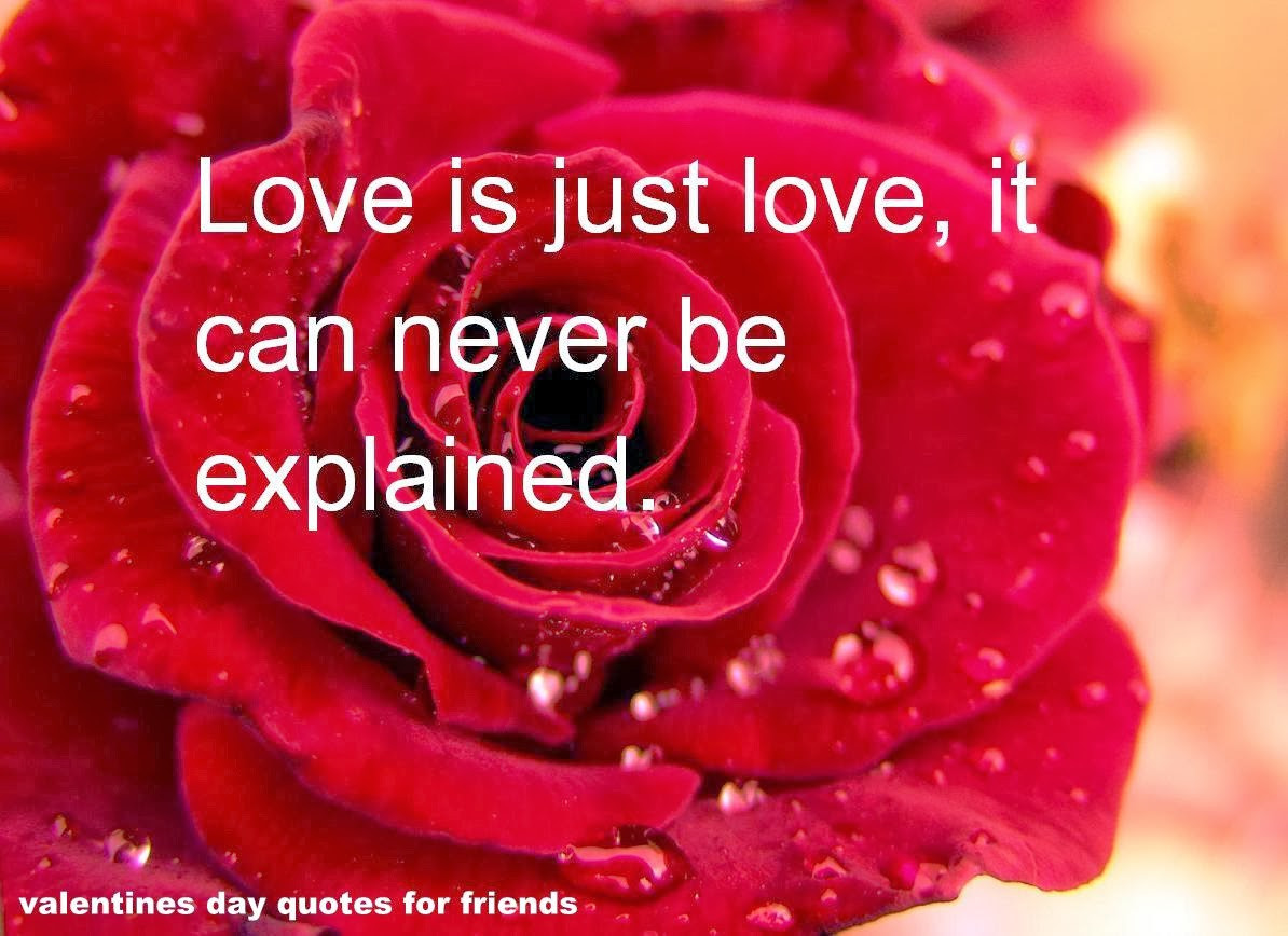 Valentines Day Quotes For Friends
 Open Diary