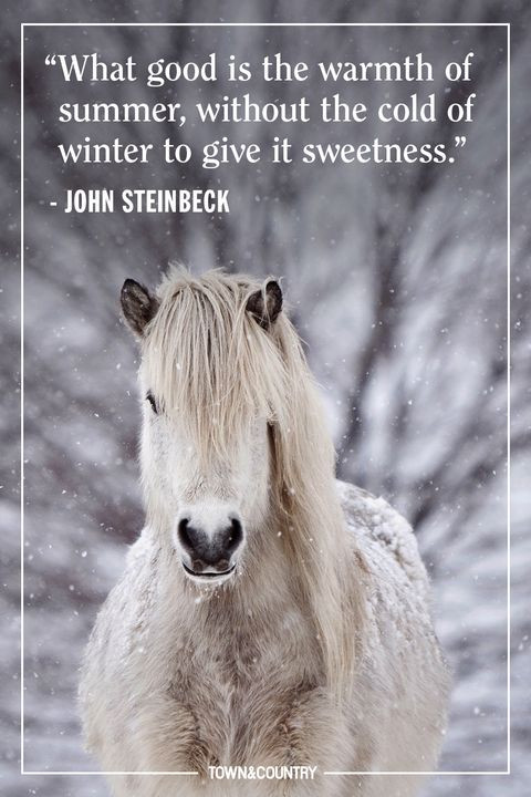 Winter Morning Quotes
 22 Best Winter Quotes Cute Sayings About Snow & The