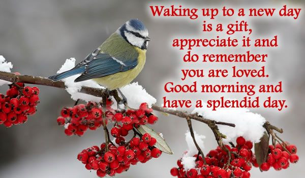 Winter Morning Quotes
 Good Morning Winter Quotes QuotesGram