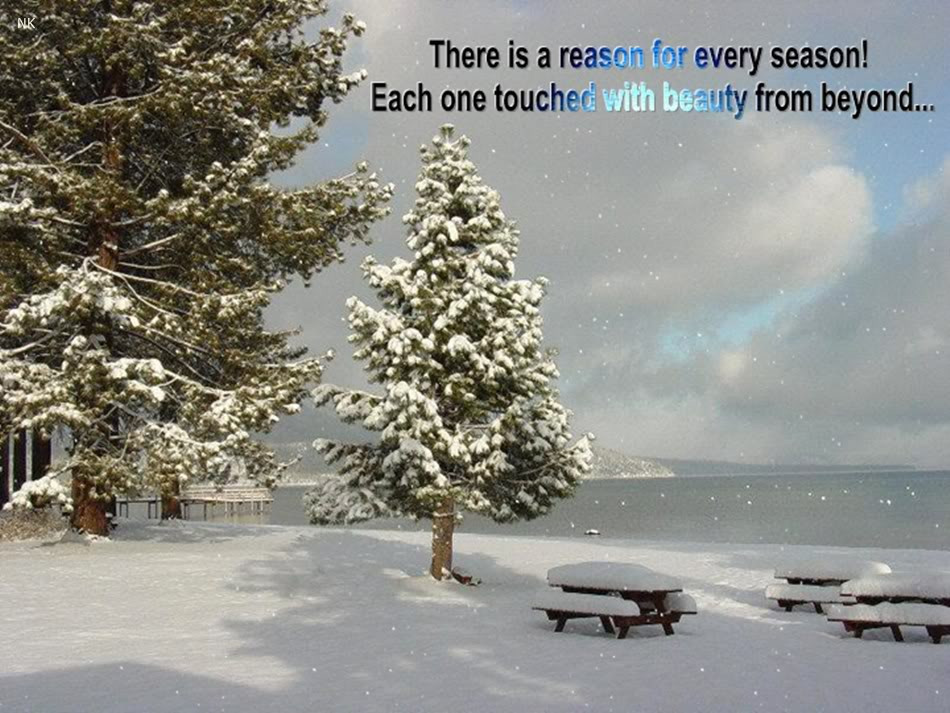 Winter Morning Quotes
 Good Morning Winter Quotes QuotesGram