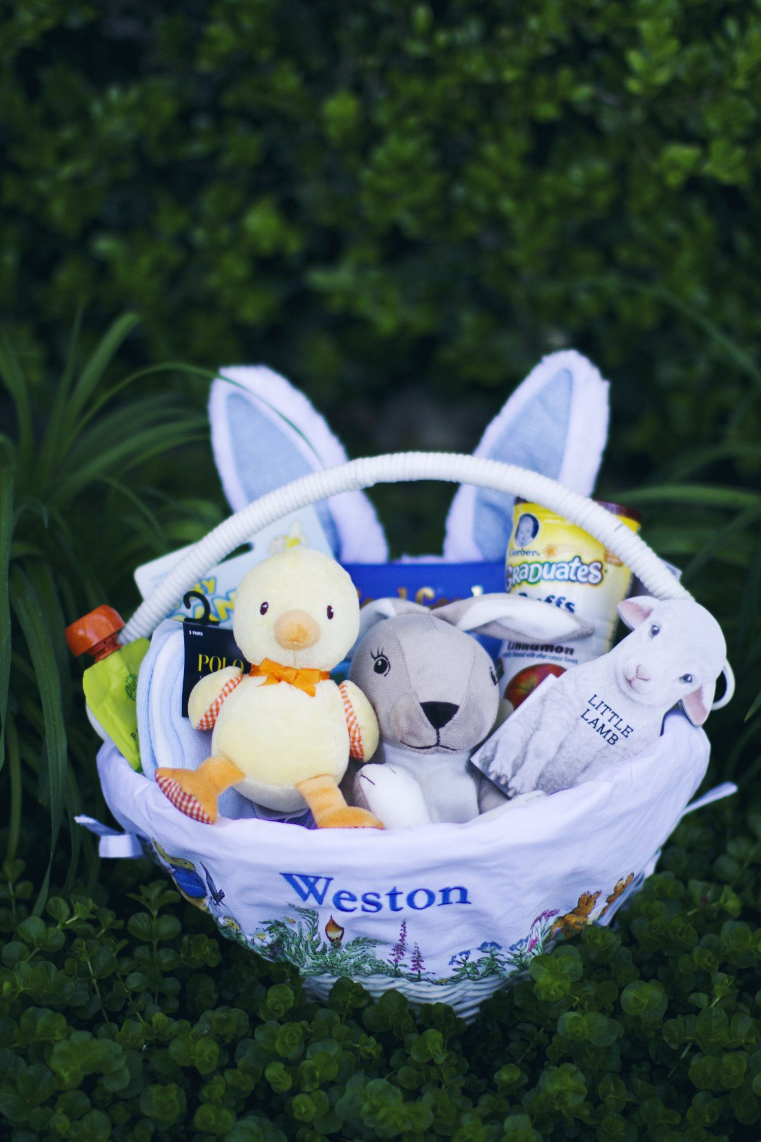 Baby Easter Baskets Ideas
 Easter Basket Ideas for Babies