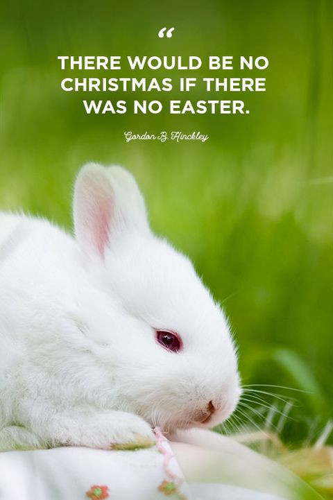 Best Easter Quotes
 62 Best Easter Quotes 2021 Inspiring Sayings About Hope