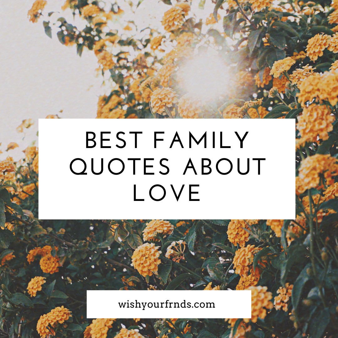 Best Quotes About Love
 Best Family Quotes About Love and Why Family Is Important