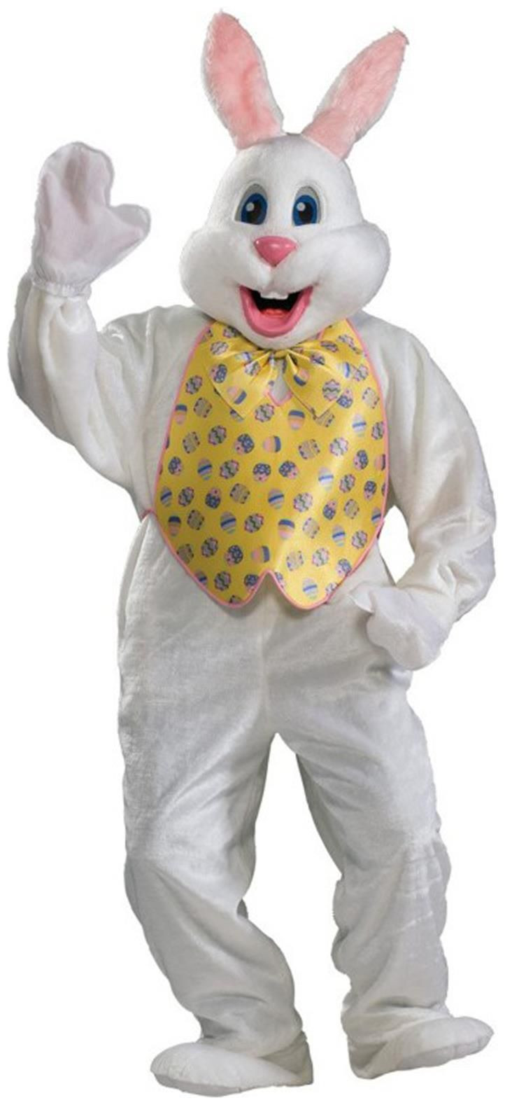 Easter Costume Ideas
 Pin on Easter Bunny Costumes Ideas