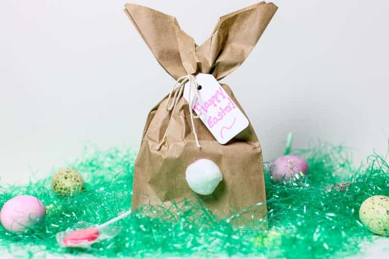 Easter Gift Bags
 Easy DIY Easter Bunny Gift Bags