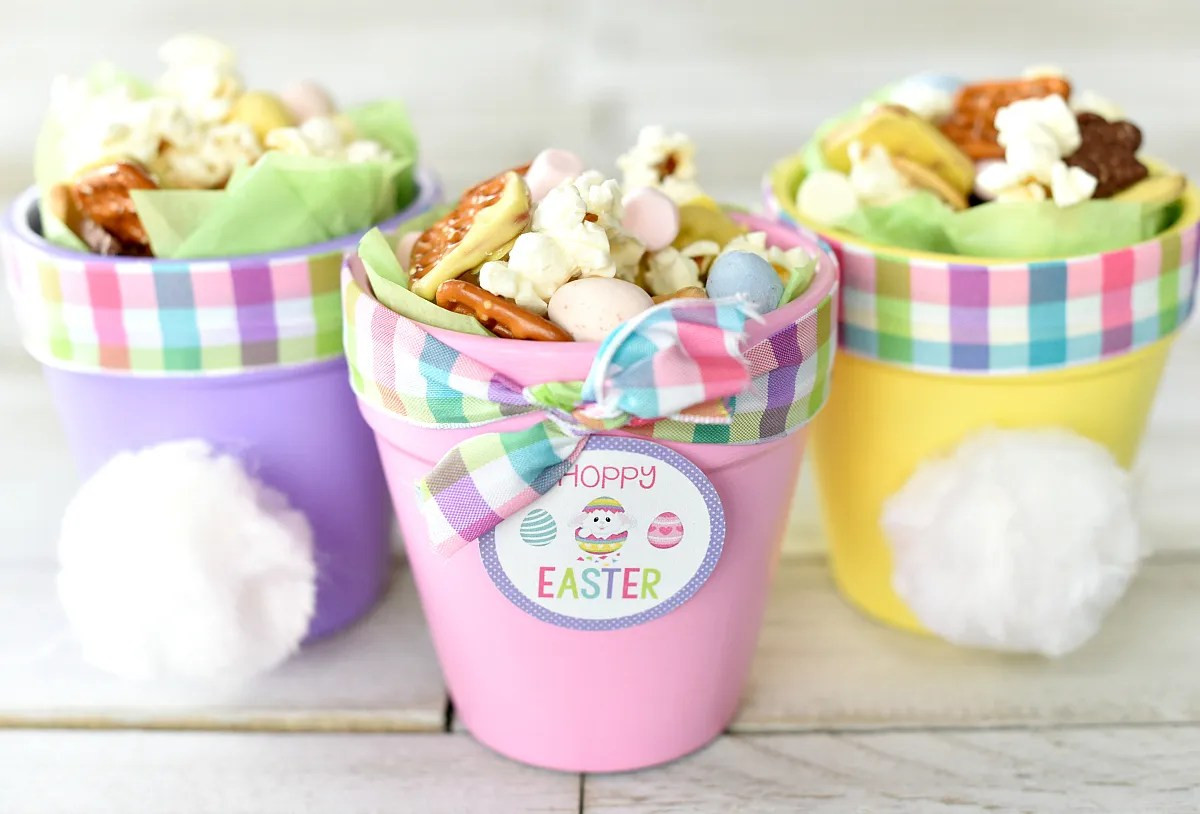 Easter Gift Ideas
 Cute Easter Gift Ideas Hoppy Easter Bunny Pots – Fun Squared
