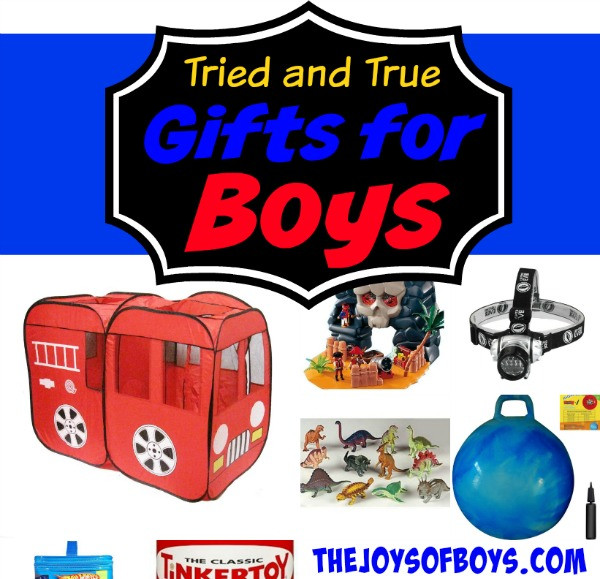 Great Gift Ideas For Boys
 Gift Ideas for Teen Boys Top Gifts Teen Boys will Love