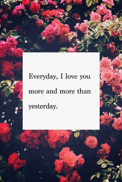 I Love You More Everyday Quotes
 Everyday I Love You More s and for