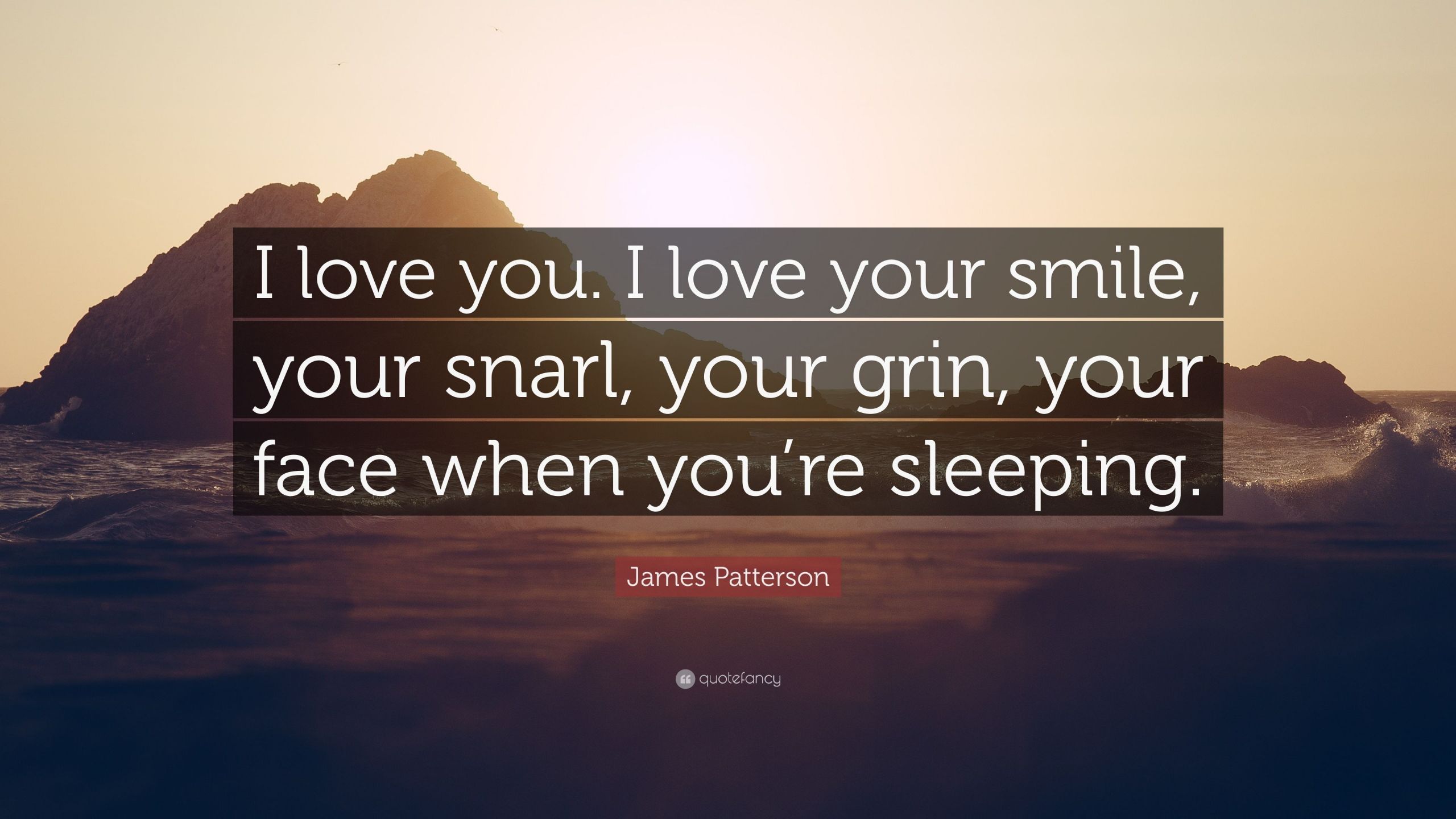 I Love Your Smile Quotes
 James Patterson Quote “I love you I love your smile