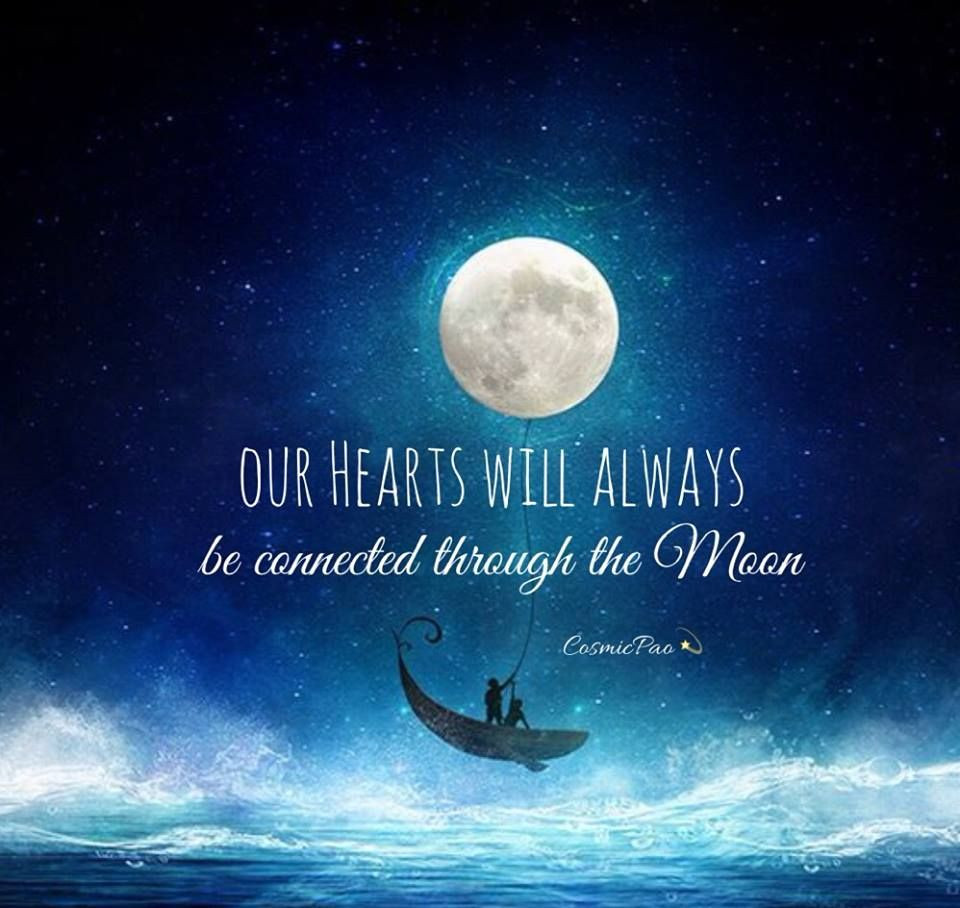 Moon Love Quotes
 Pin by ༻∞↞Ꮰɛɲŋϔ↠∞༺ on ☆☪ ☾Moon & Stars☽ ☪☆