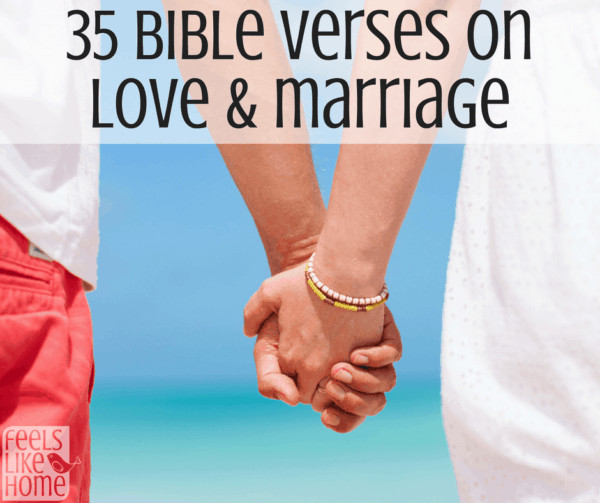 Relationships Quotes From The Bible
 35 Bible Verses on Love & Marriage