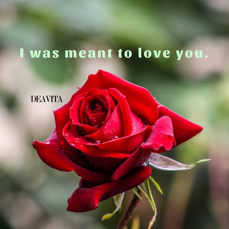 Romantic I Love You Quotes
 I love you quotes the best short and romantic texts with