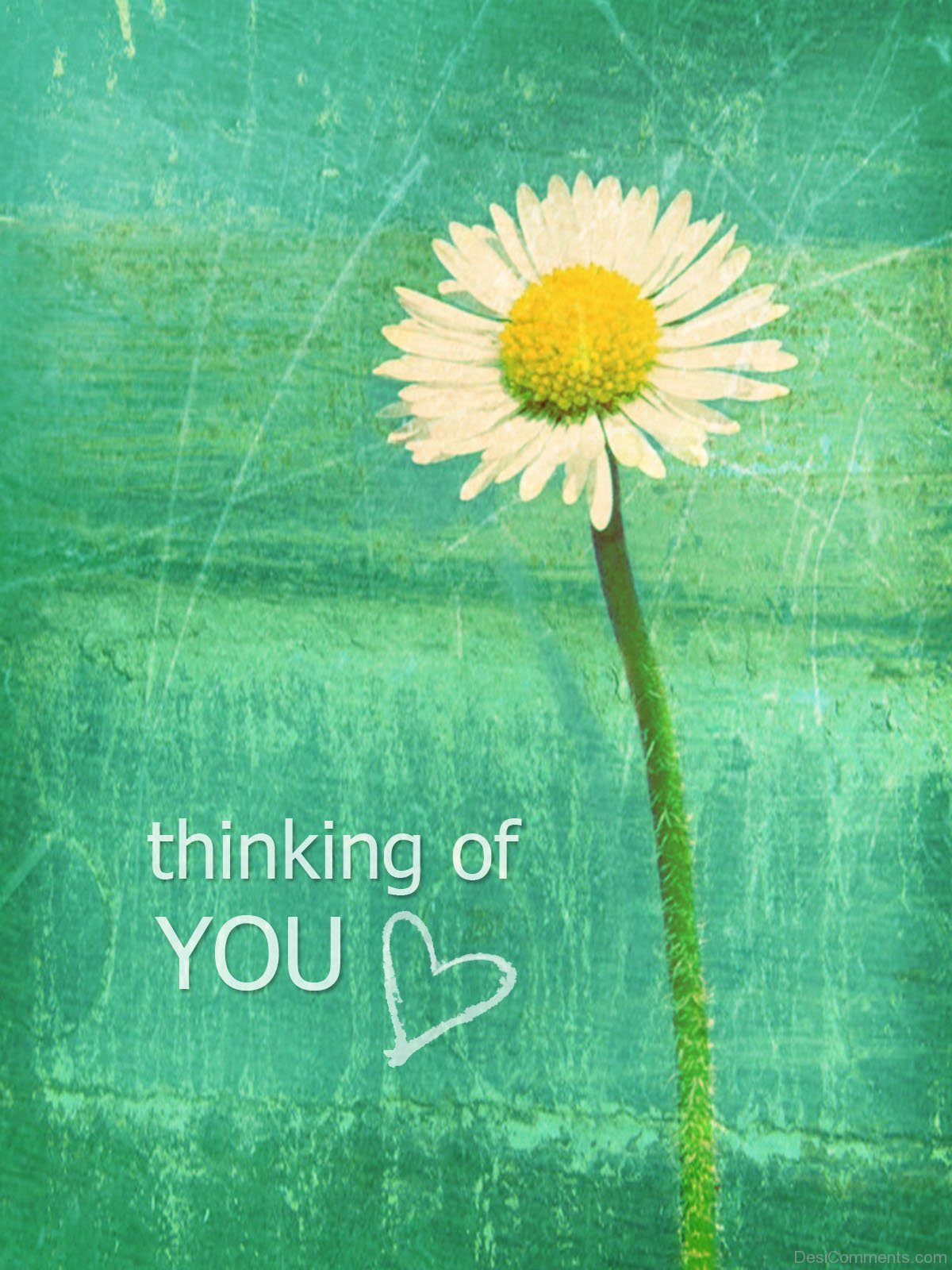 Thinking Of You Love Quotes
 Thinking of You Love Desi ments